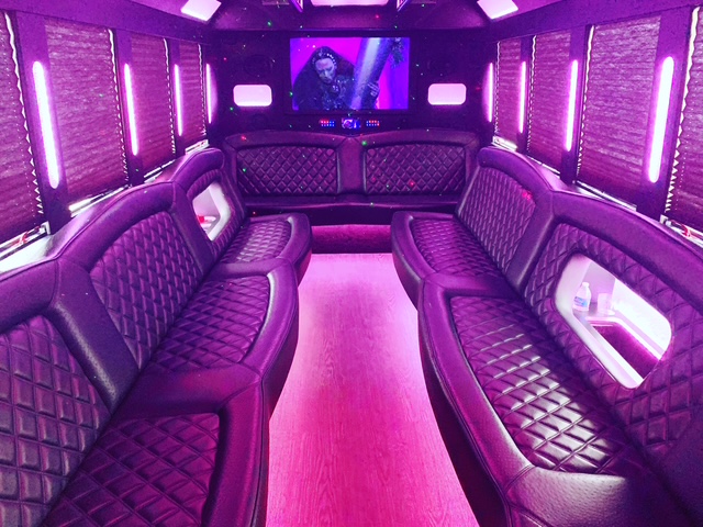 Party Bus Interior — The Executive — 20 Passengers